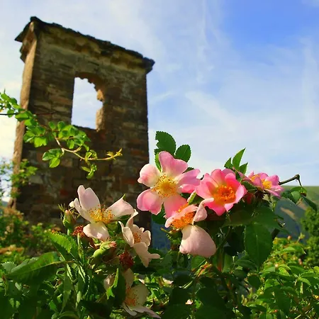 Casa Alba Ara