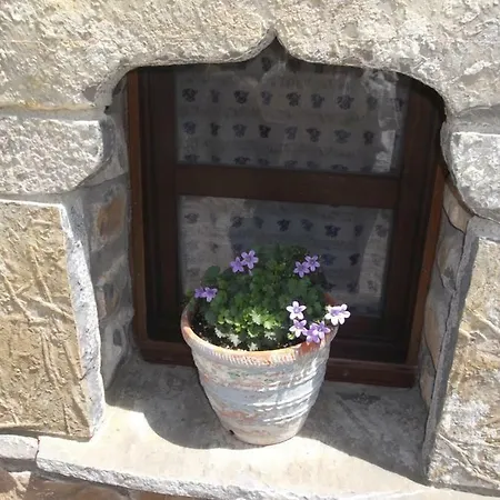 Casa Alba Ara דירה *